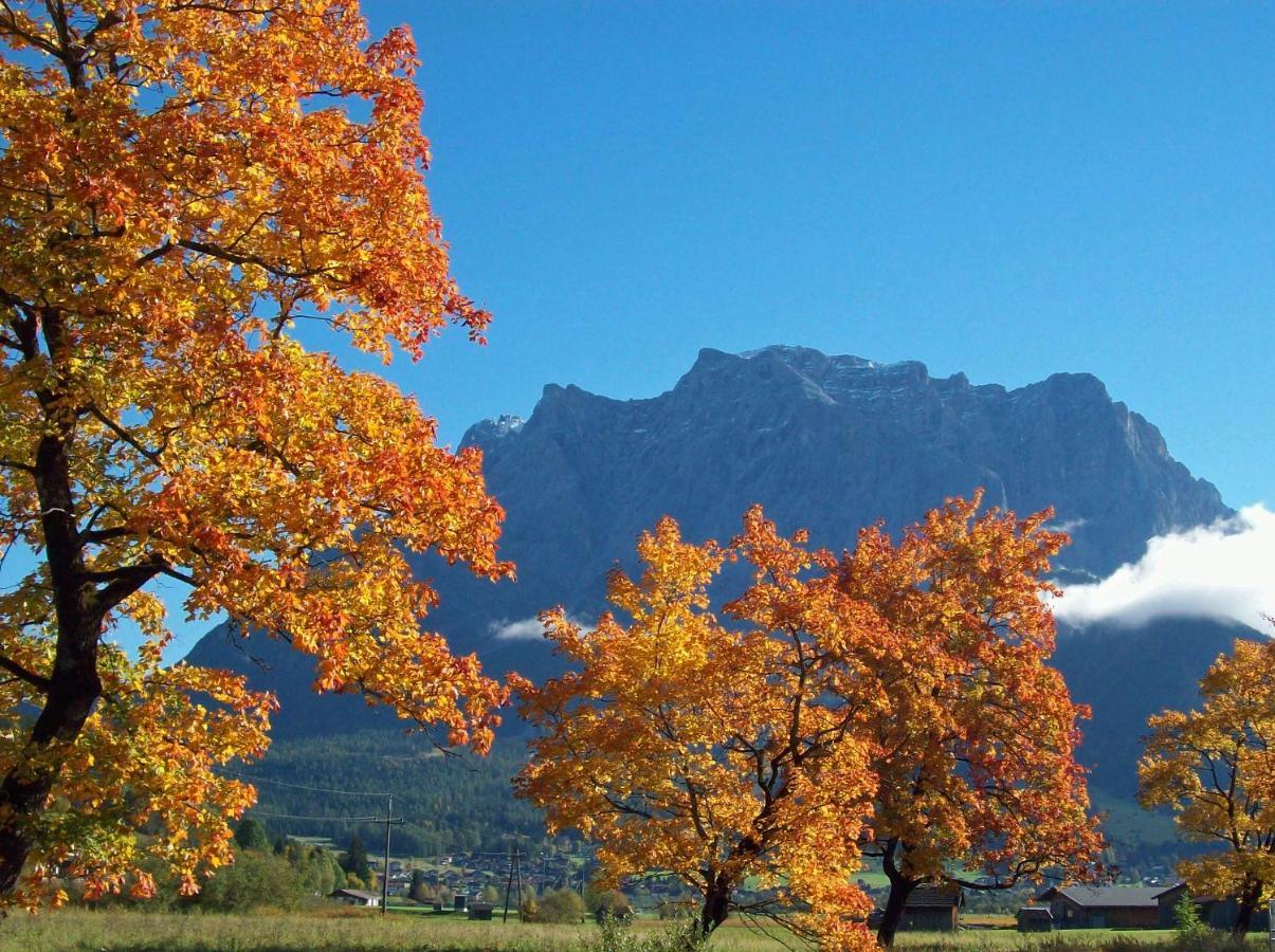 Chalet Danninger Ehrwald Kültér fotó