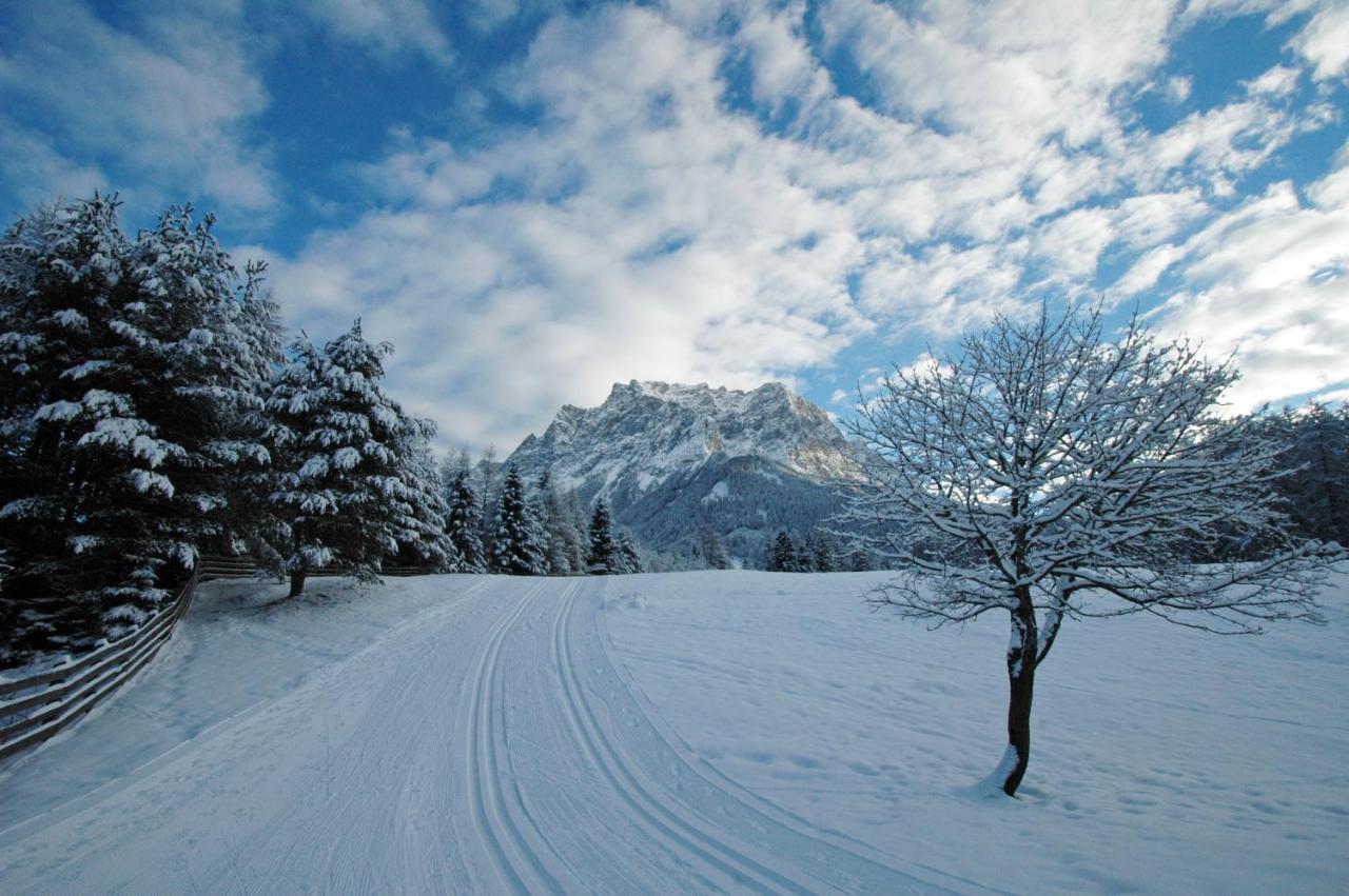 Chalet Danninger Ehrwald Kültér fotó